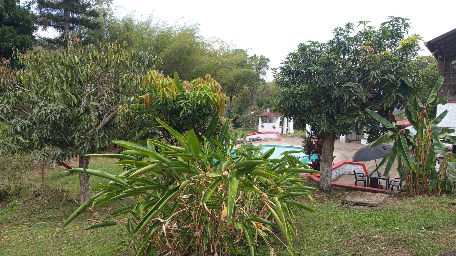 Jardines y piscina de Fundación Criar