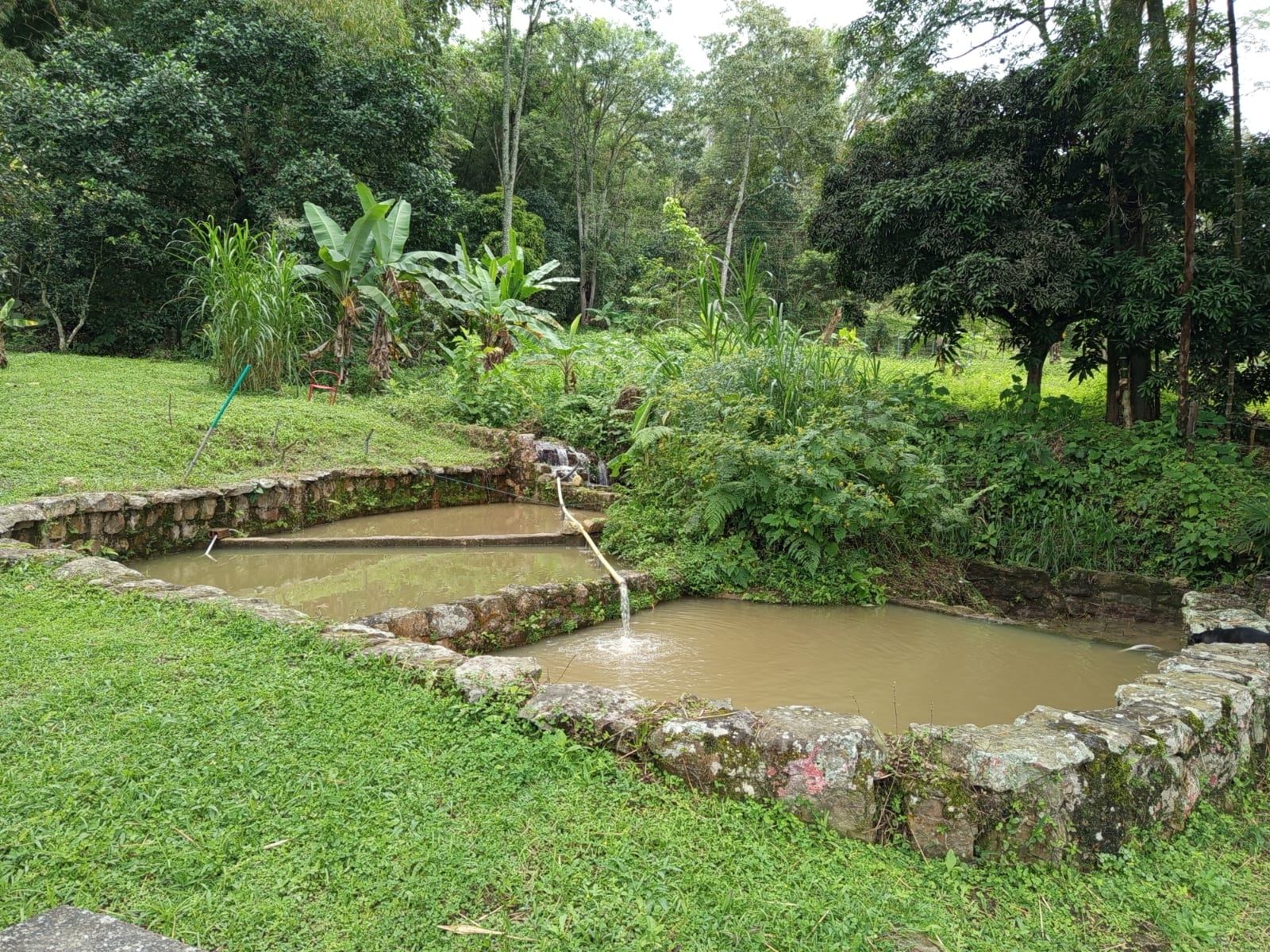 Piscicultura