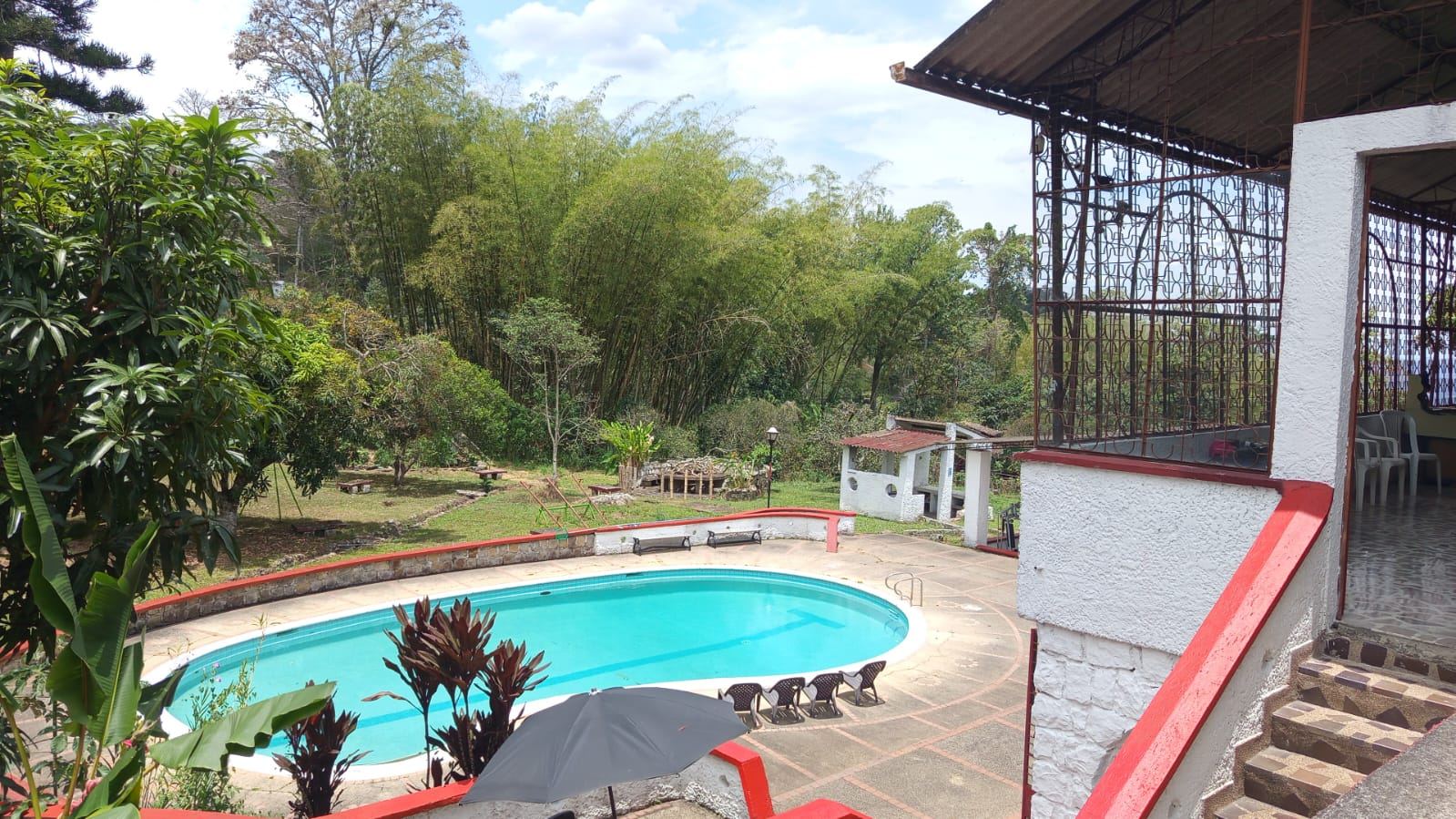 Piscina con vista al jardín