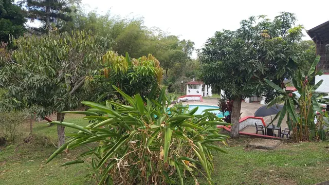 Jardines, árboles y piscina de la sede de Fundación Criar